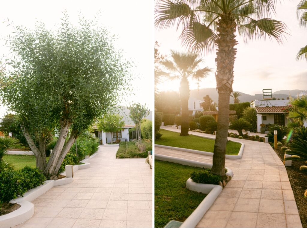 Pathways winding through the lush grounds of Petunia Ibiza, a Beaumier Hotel, lined with palm trees and tropical greenery, leading to elegant villas, captured in the peaceful morning light